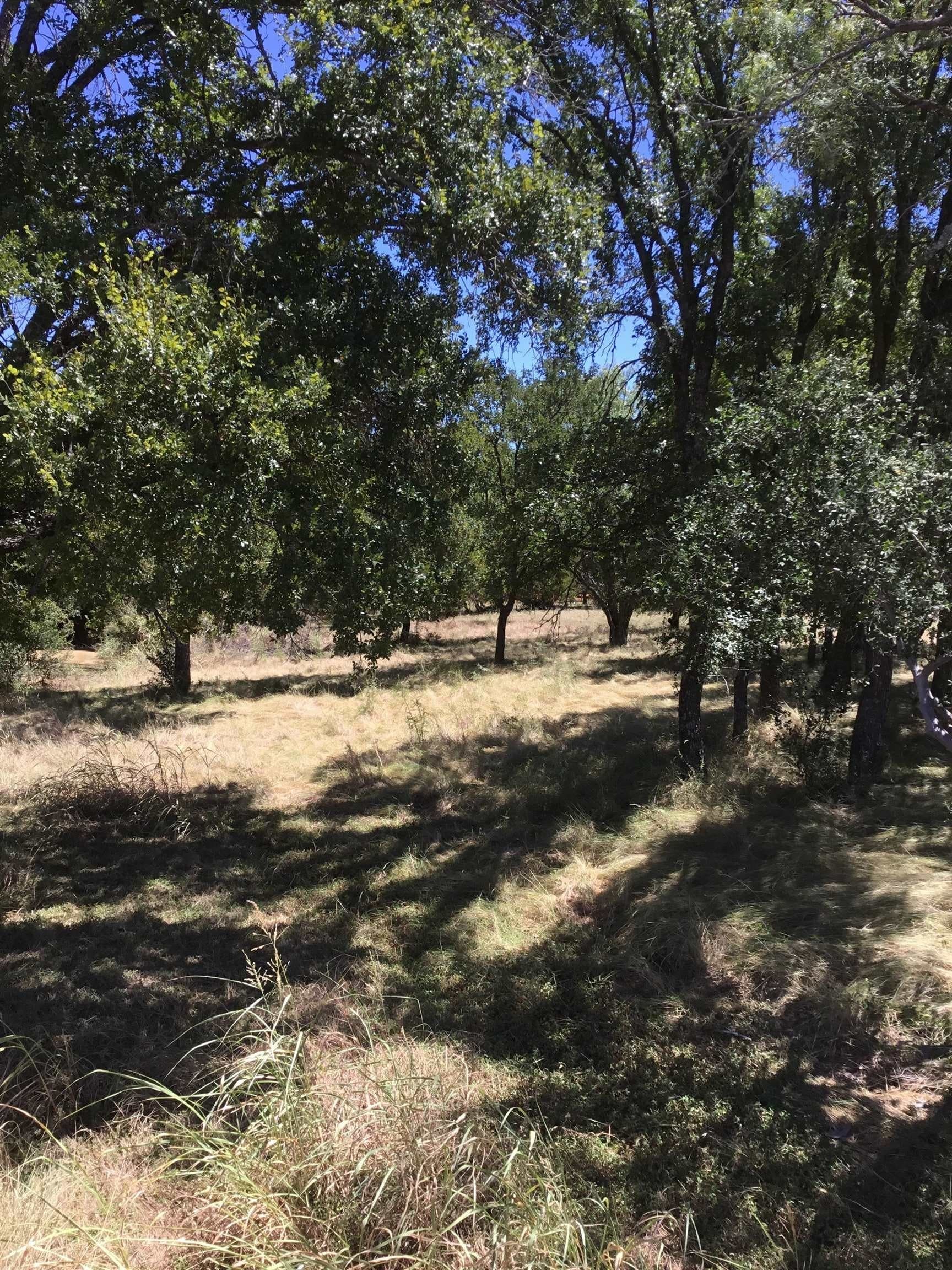 0.28 acres in Llano County - photo 8