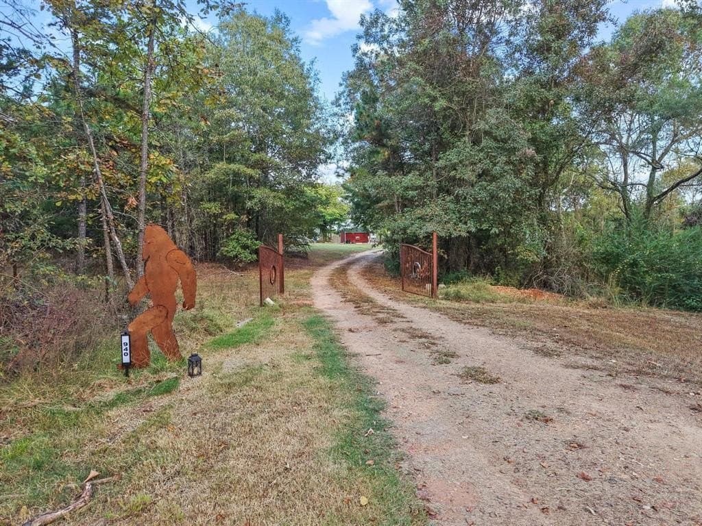 20 acres in Lamar County gallery image 2