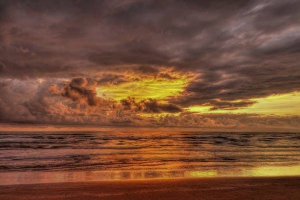 0 acres in Aransas County - photo 9