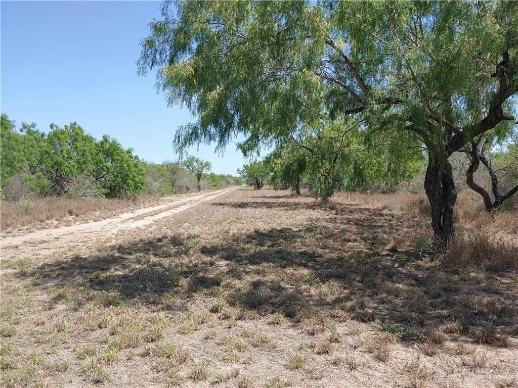 237.46 acres in Hidalgo County gallery image 2