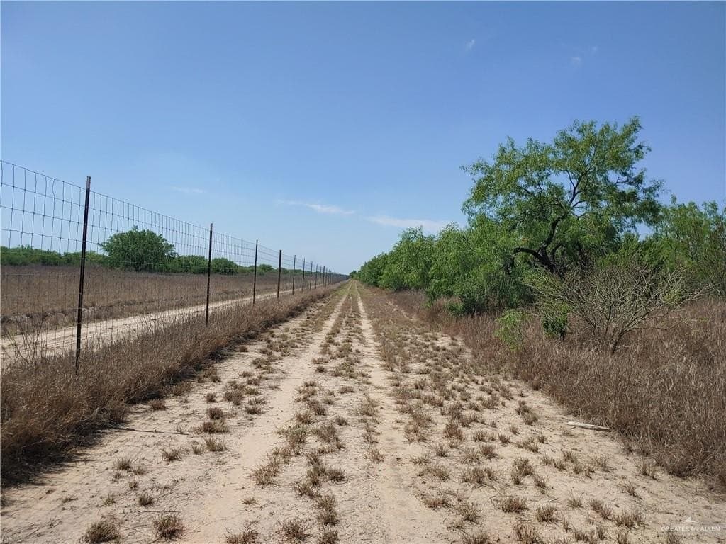 237.46 acres in Hidalgo County gallery image 4