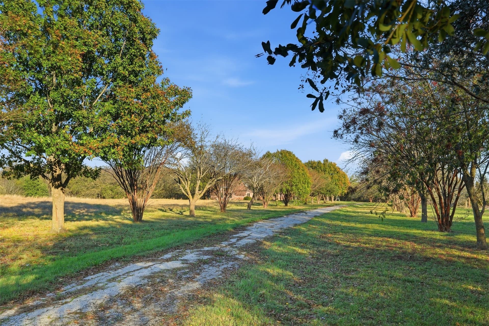 98.02 acres in Hunt County - photo 8