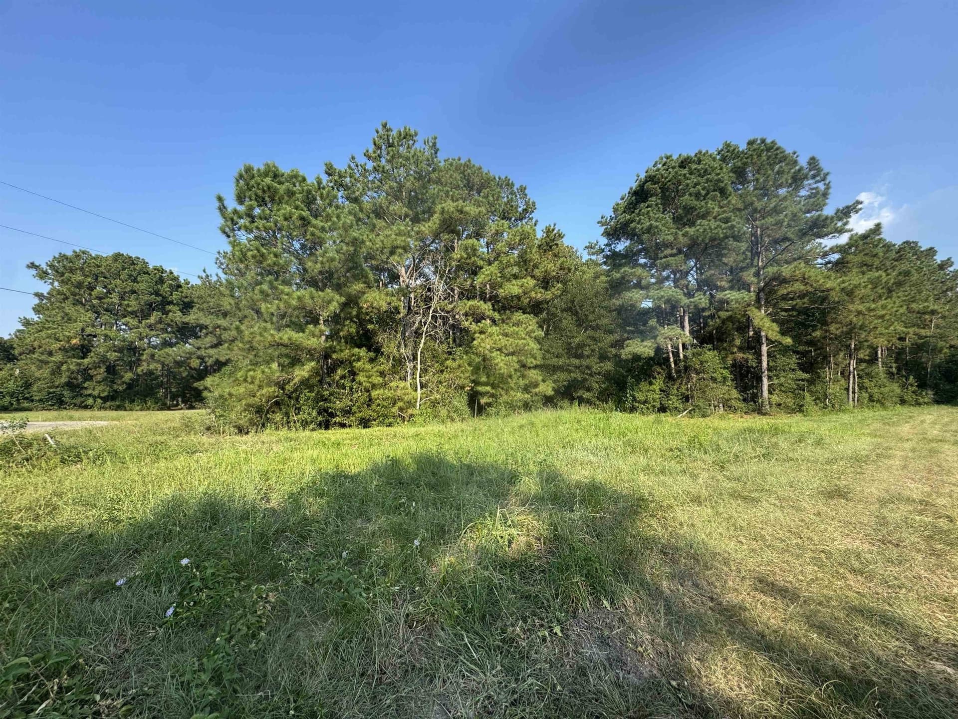 6.69 acres in Texas County gallery image 2