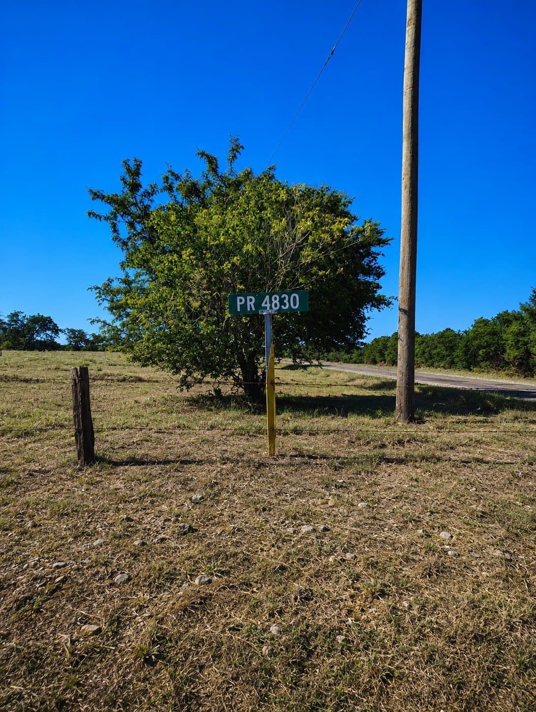 10.38 acres in Hopkins County - photo 6