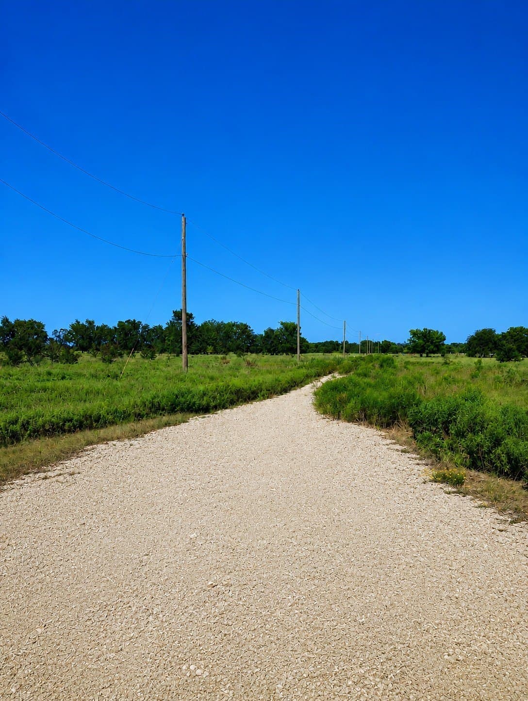 10.38 acres in Hopkins County - photo 4