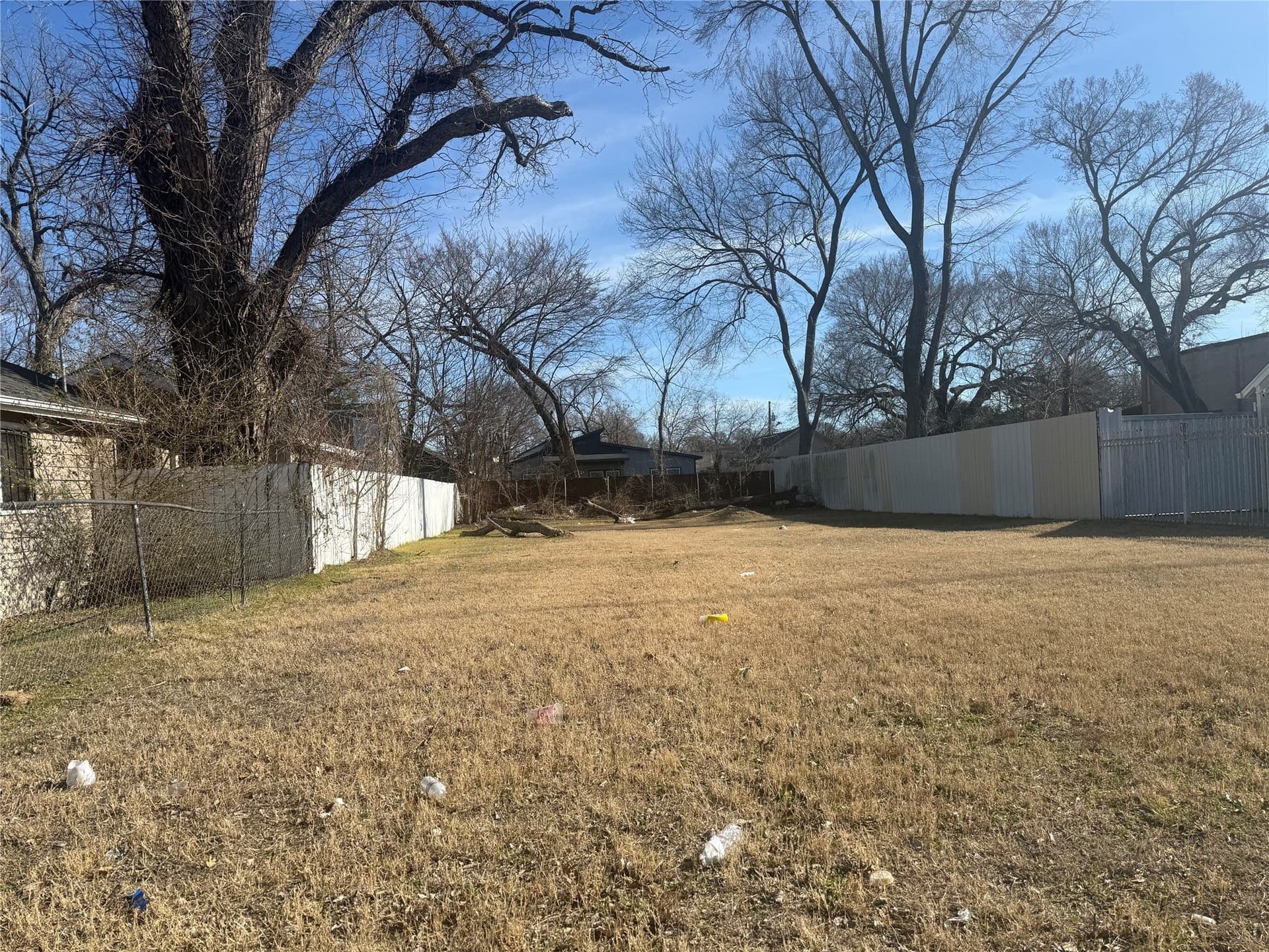 0.16 acres in Dallas County - photo 16