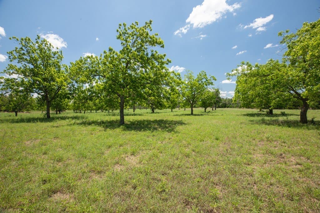 10.25 acres in Gillespie County - photo 12