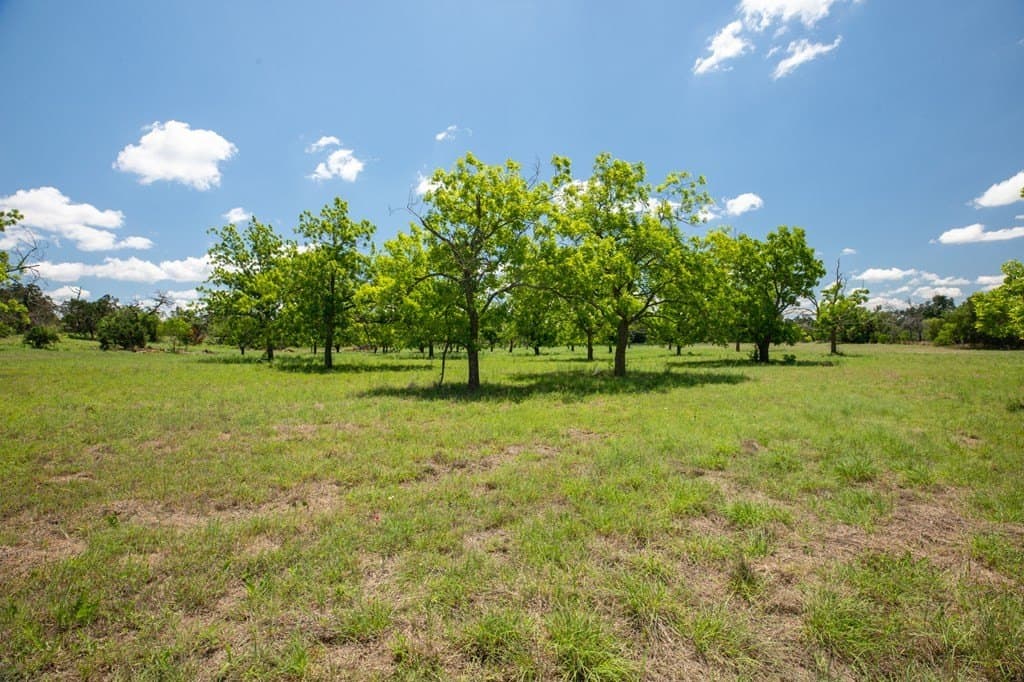 10.25 acres in Gillespie County - photo 10