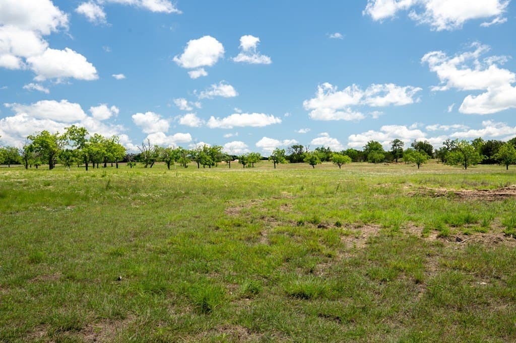 10.25 acres in Gillespie County - photo 7