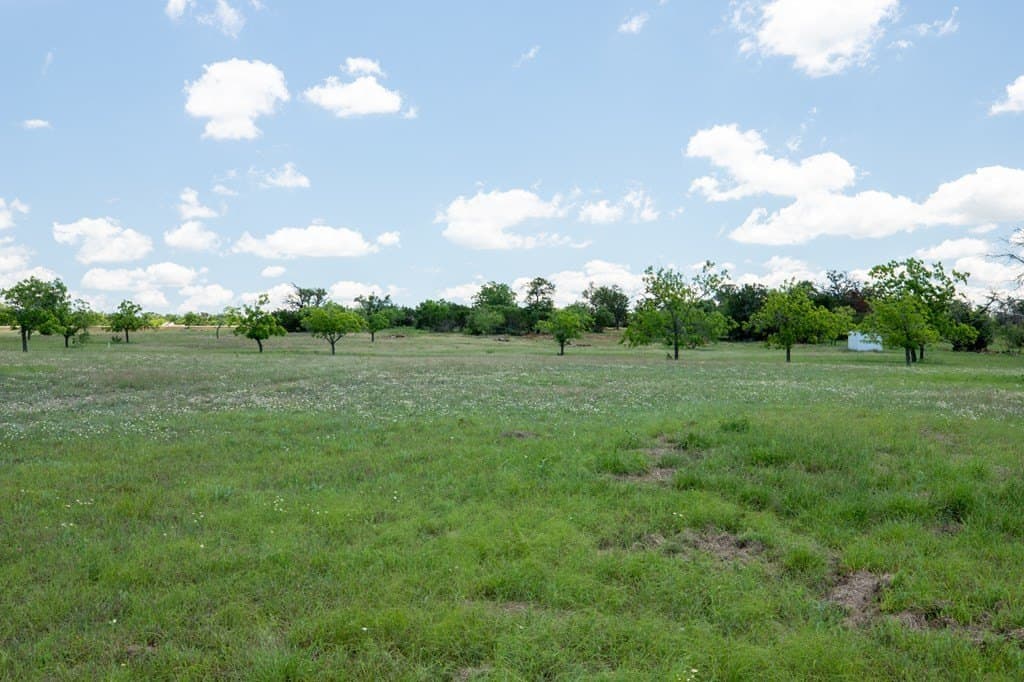 10.25 acres in Gillespie County - photo 8