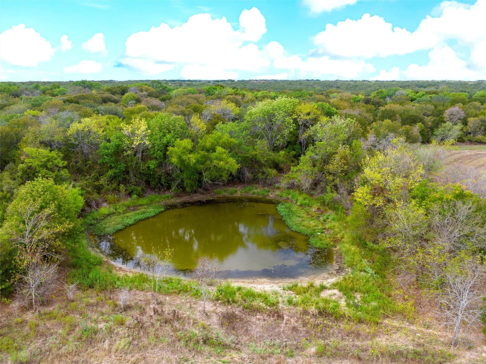 58 acres in Limestone County - photo 38