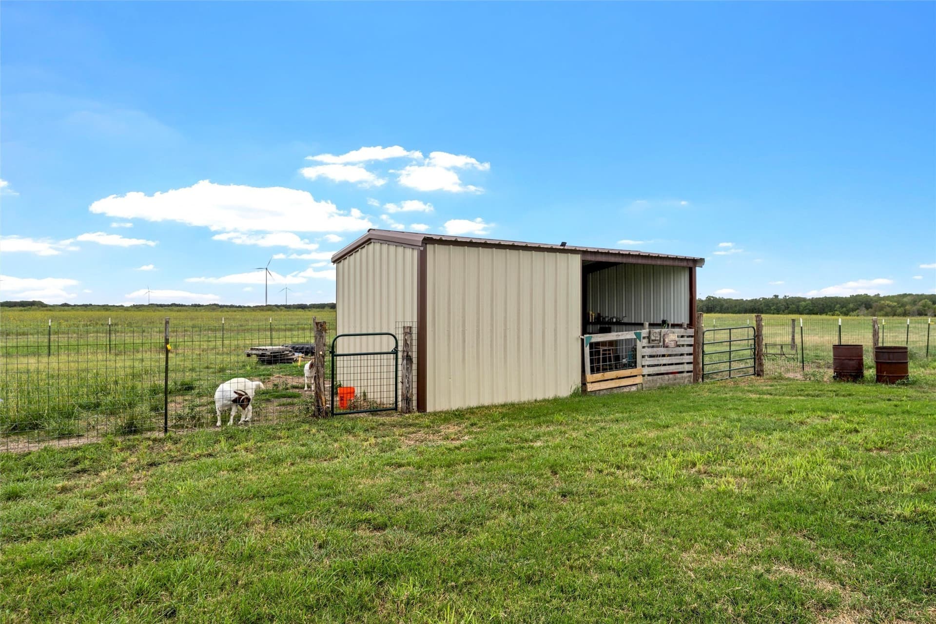 58 acres in Limestone County - photo 27