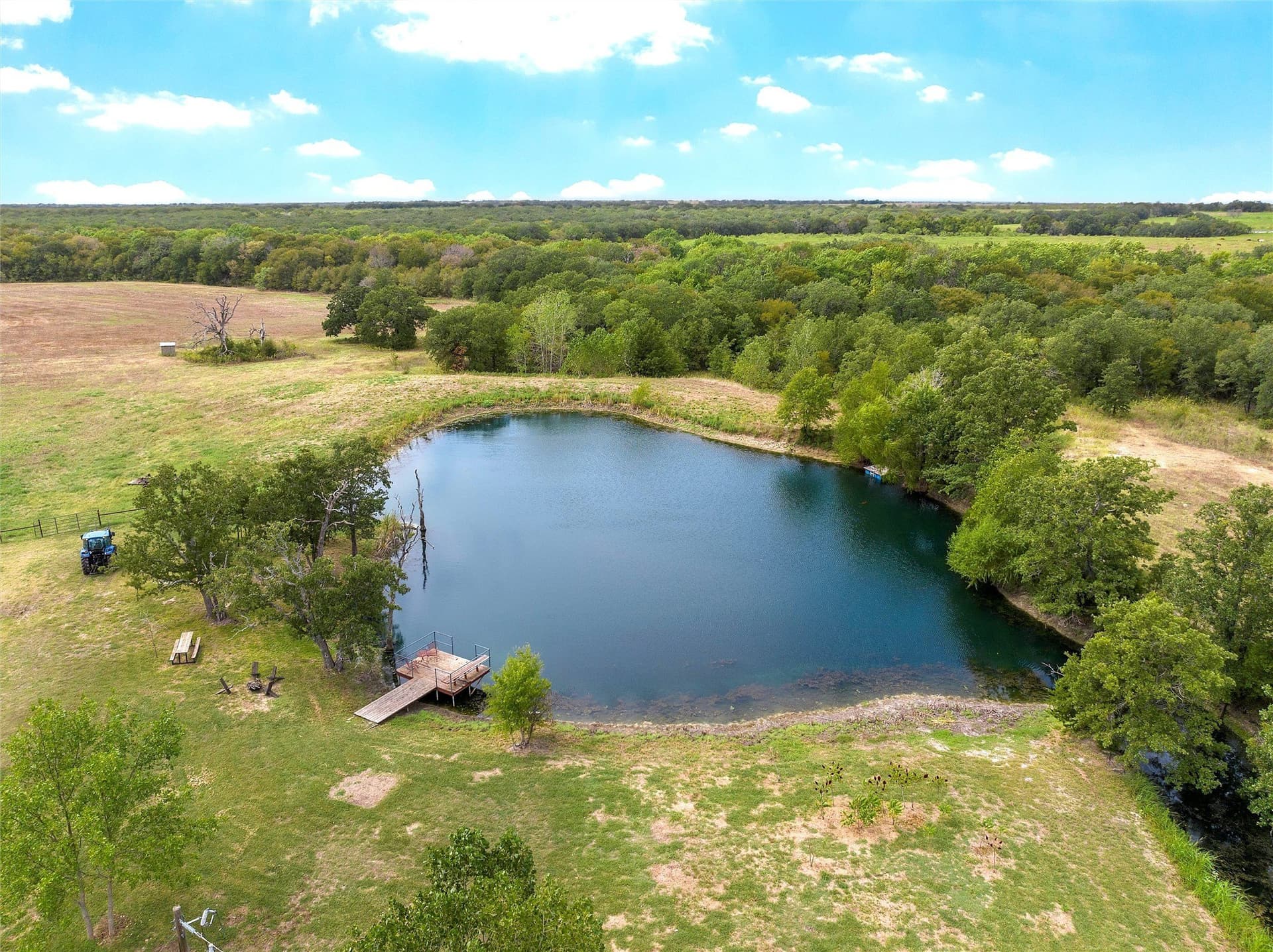 58 acres in Limestone County - photo 30