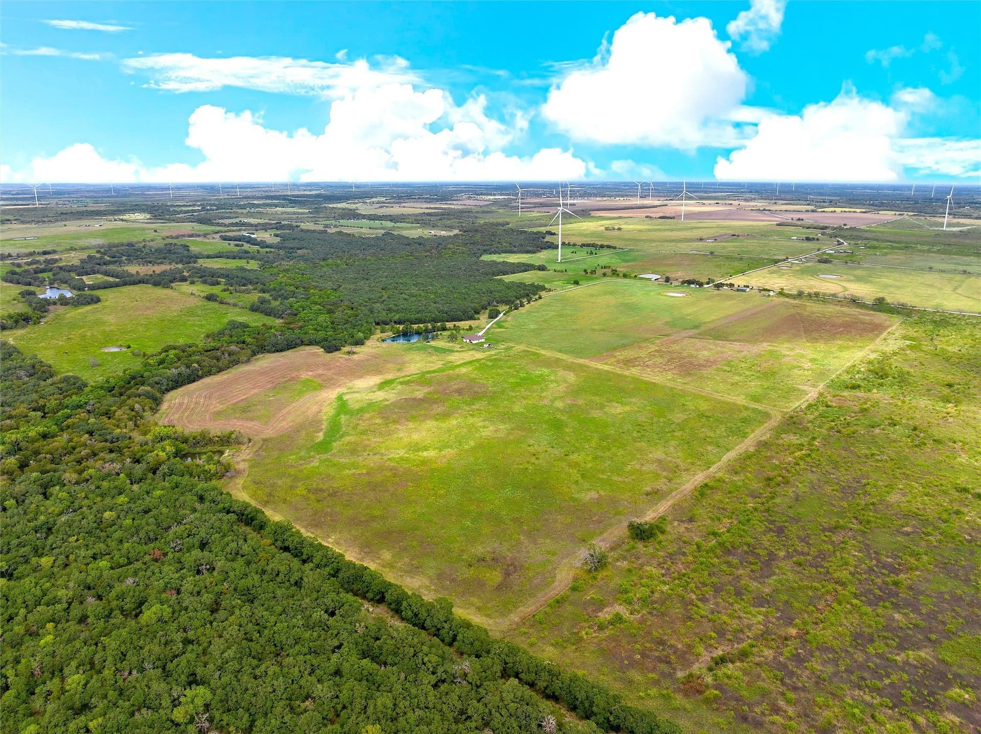 58 acres in Limestone County - photo 22