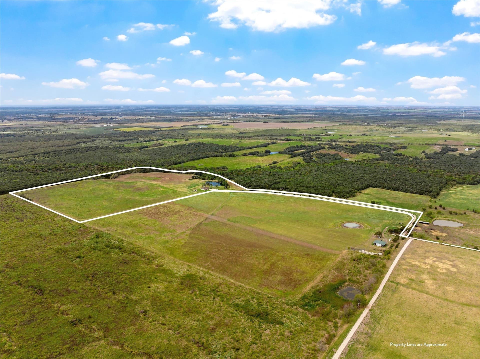 58 acres in Limestone County - photo 20