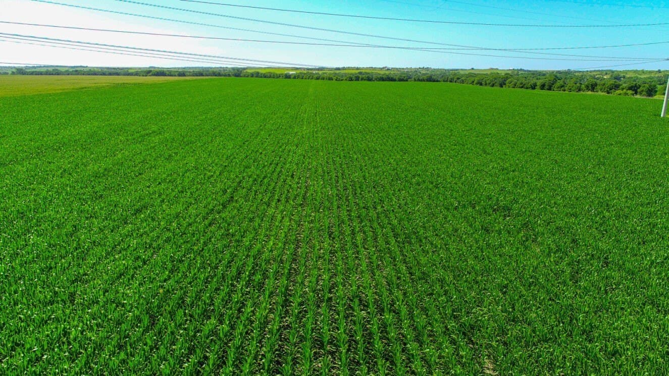 85.91 acres in Falls County - photo 7