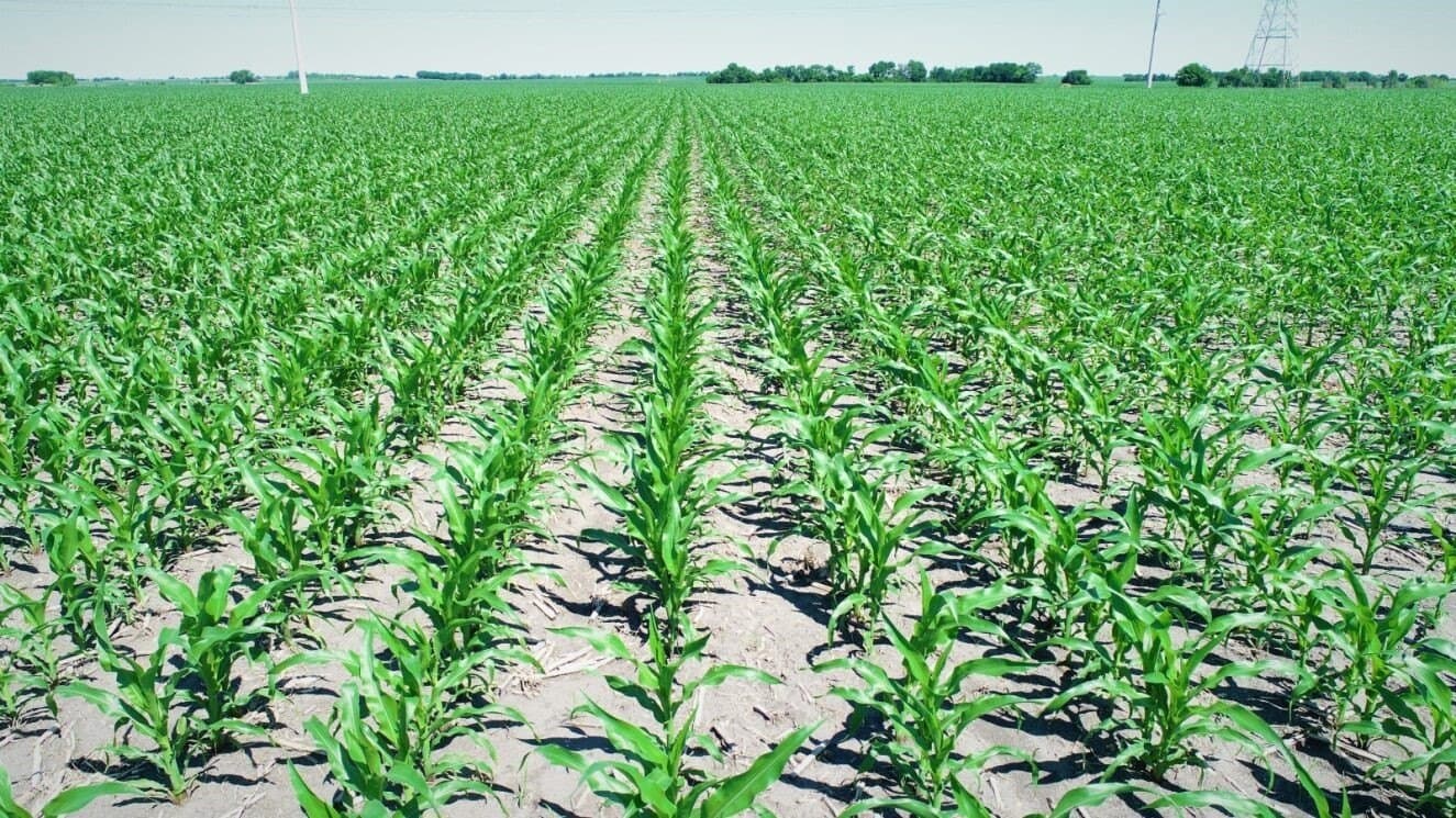 85.91 acres in Falls County - photo 6