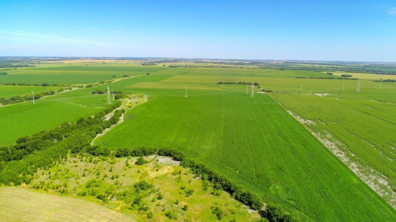 85.91 acres in Falls County - photo 9