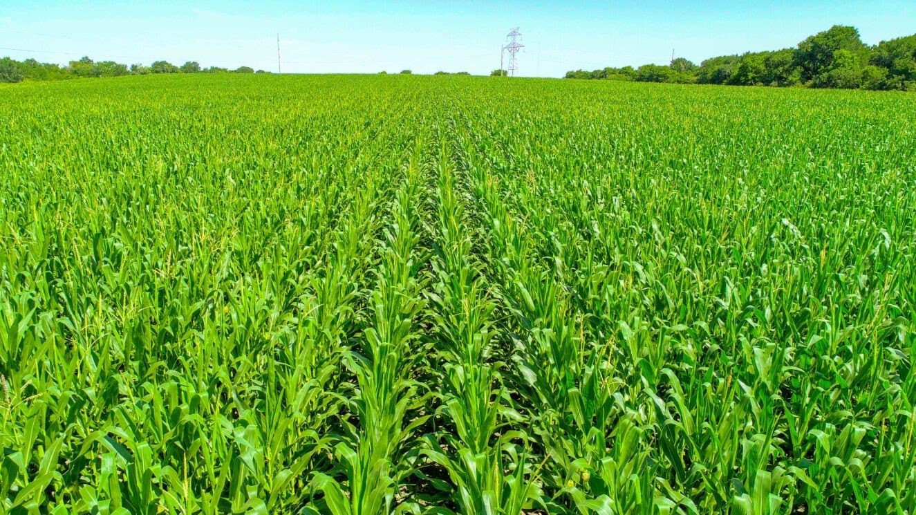 85.91 acres in Falls County - photo 10