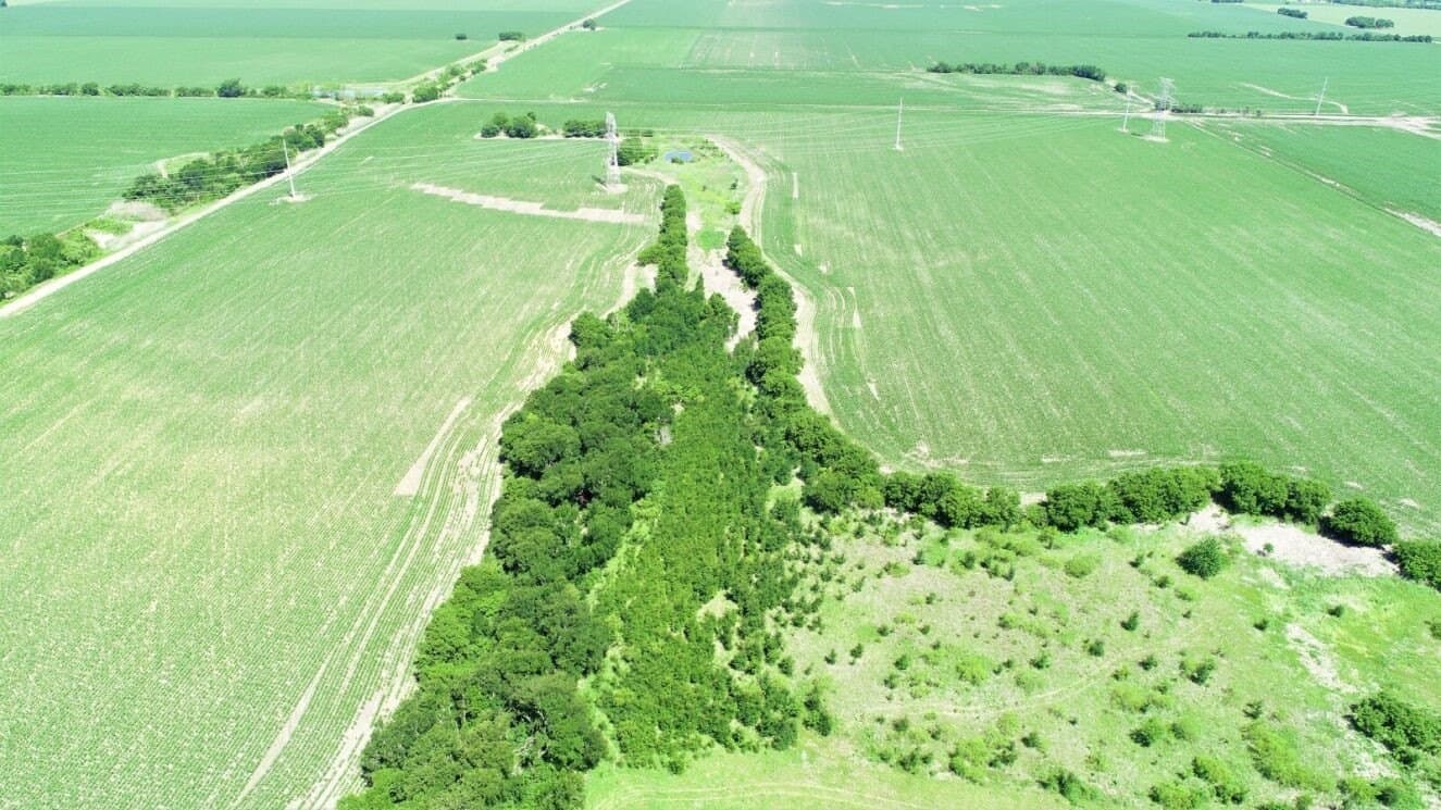 85.91 acres in Falls County - photo 4