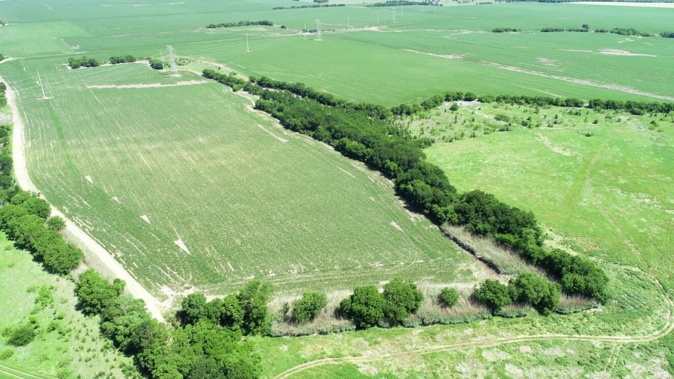 85.91 acres in Falls County - photo 3