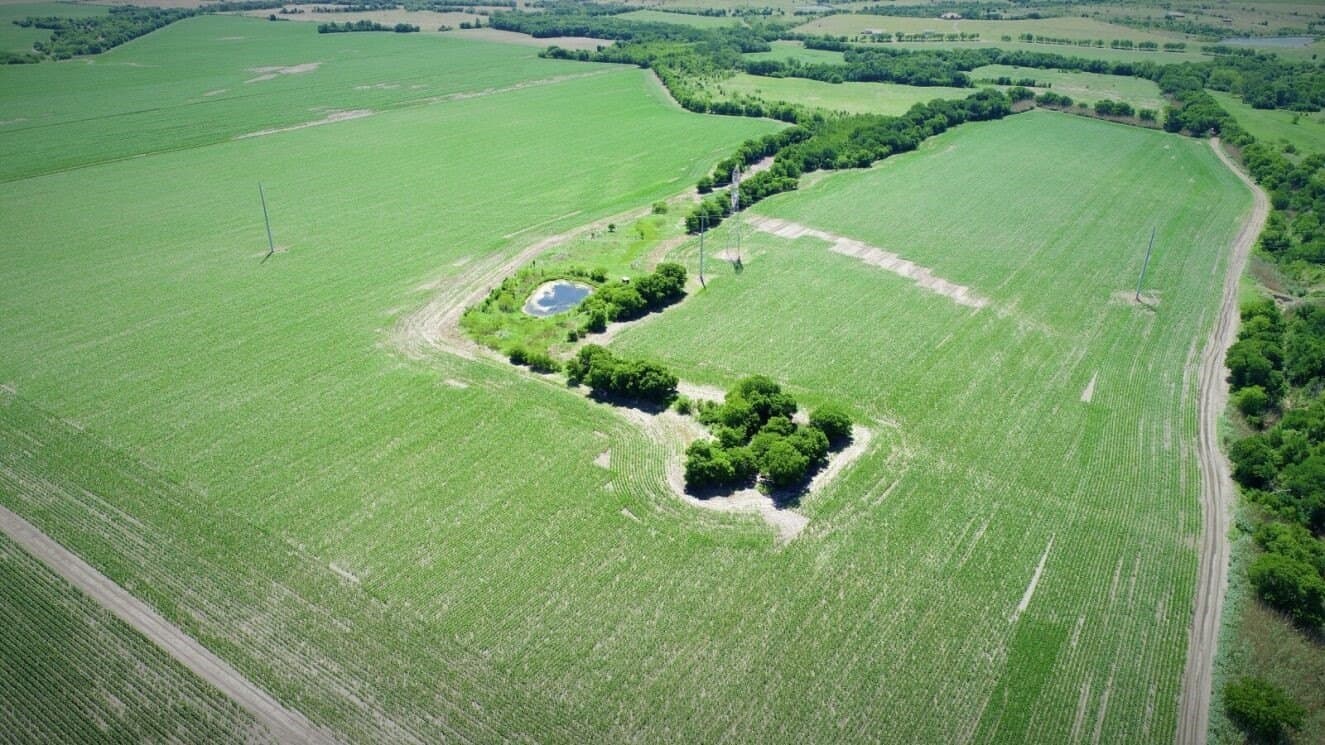 85.91 acres in Falls County - photo 5