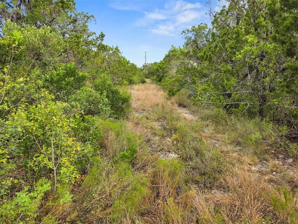 5.06 acres in Medina County - photo 15
