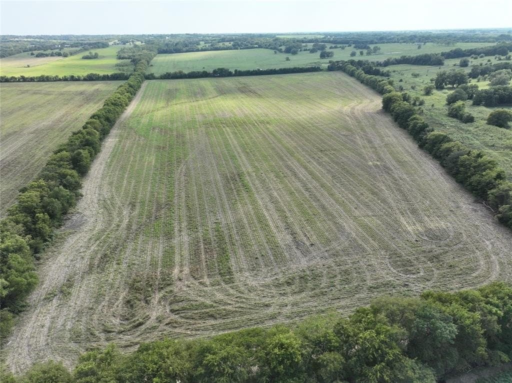 56.78 acres in Grayson County gallery image 3