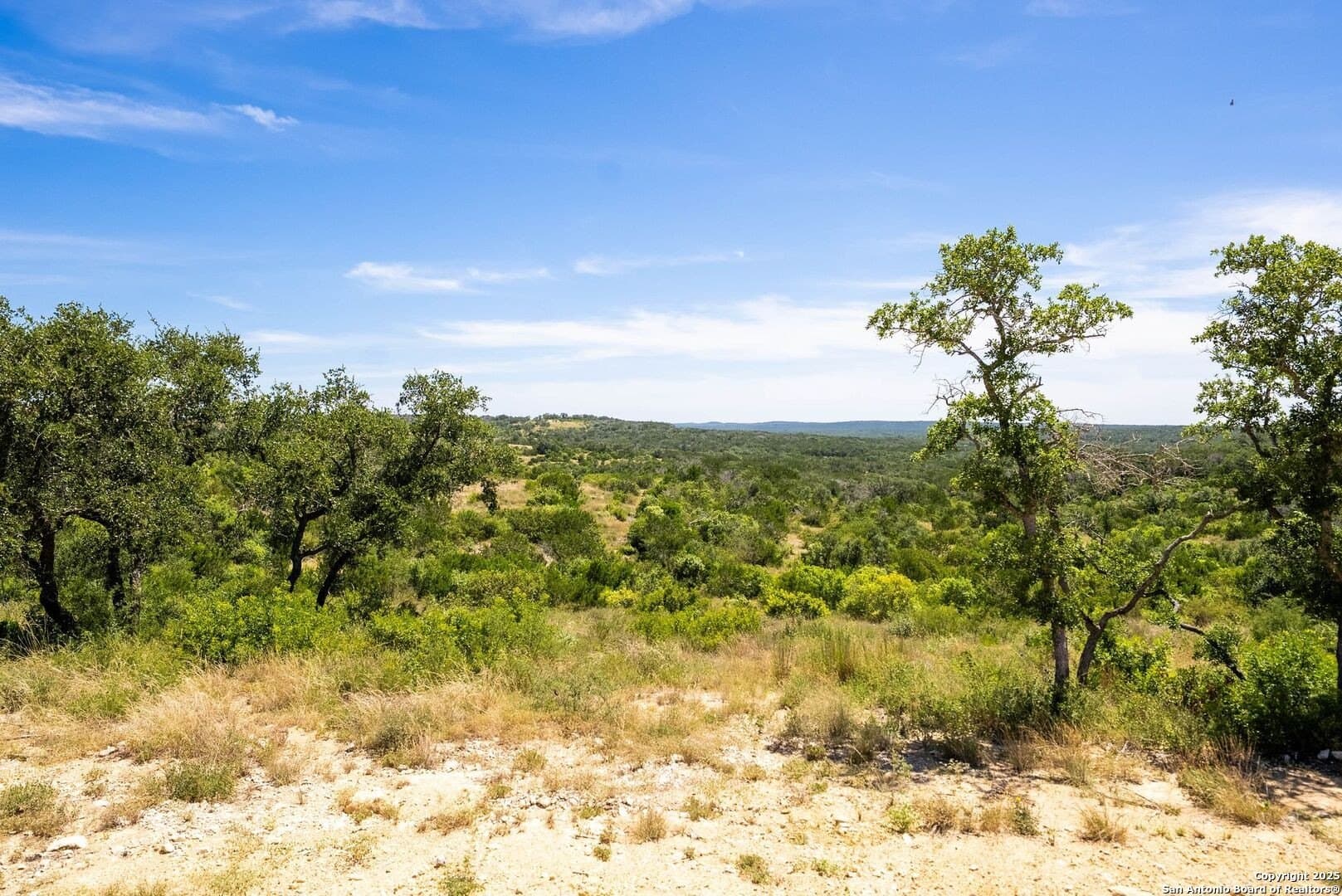 10.01 acres in Medina County gallery image 4