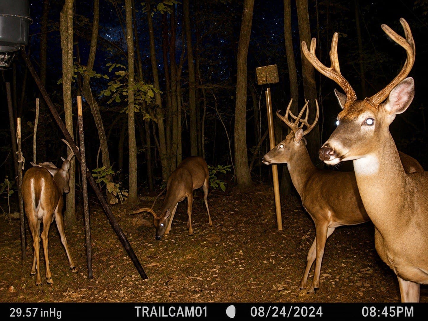 54.6 acres in Wood County gallery image 4