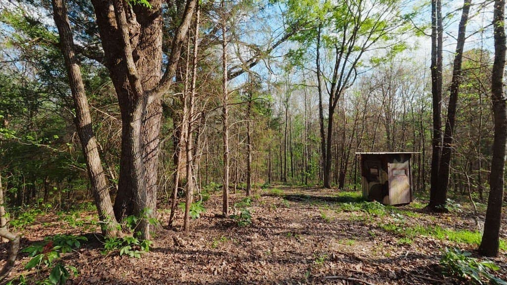 54.6 acres in Wood County - photo 38
