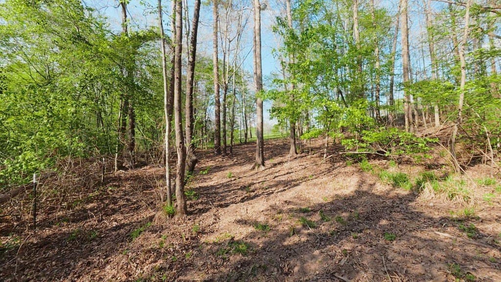54.6 acres in Wood County - photo 39