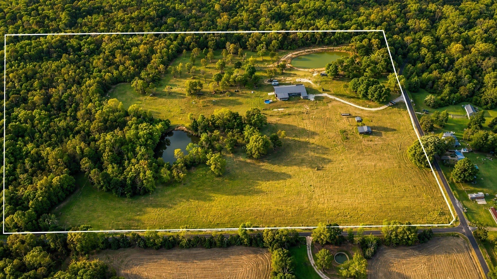 54.6 acres in Wood County gallery image 3