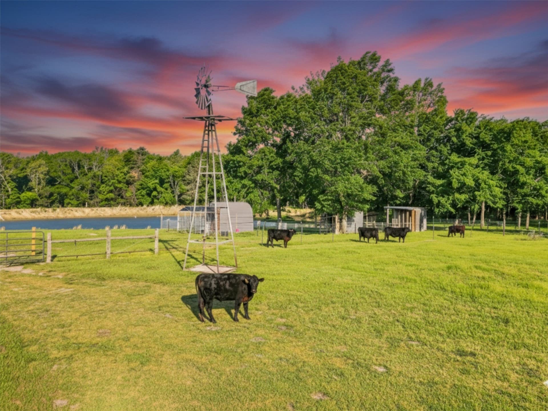 54.6 acres in Wood County - photo 8
