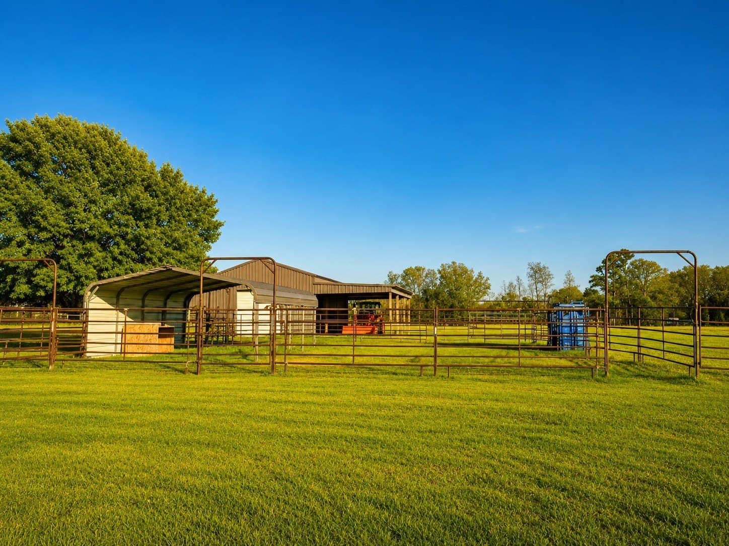 54.6 acres in Wood County - photo 6