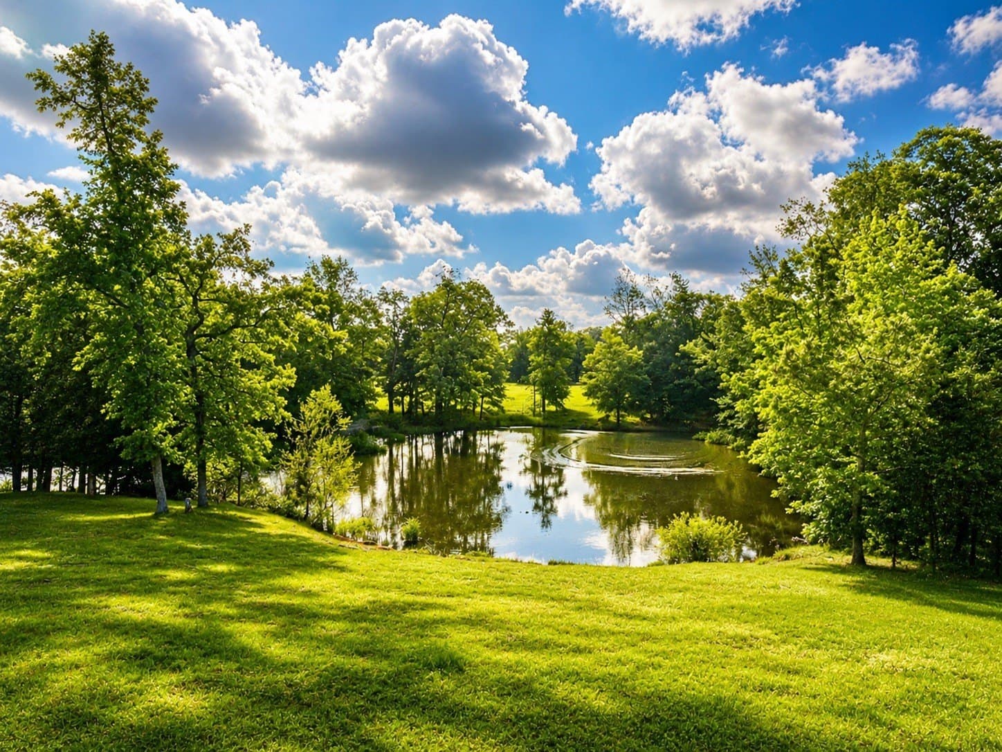 54.6 acres in Wood County - photo 9