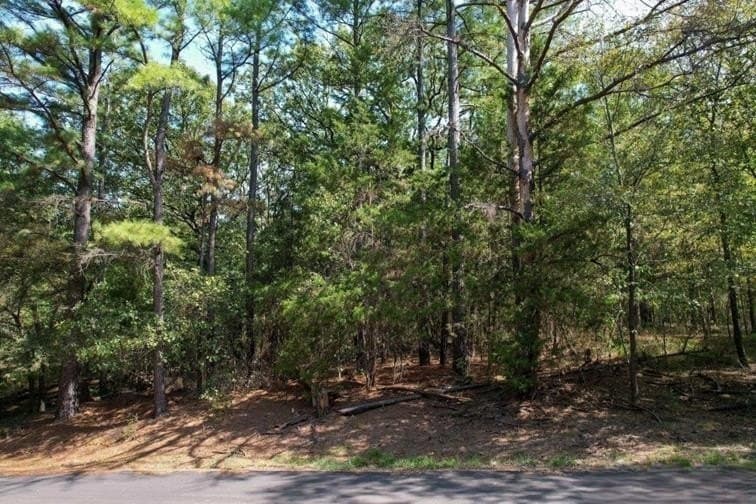 0.17 acres in Franklin (TX) County - photo 5