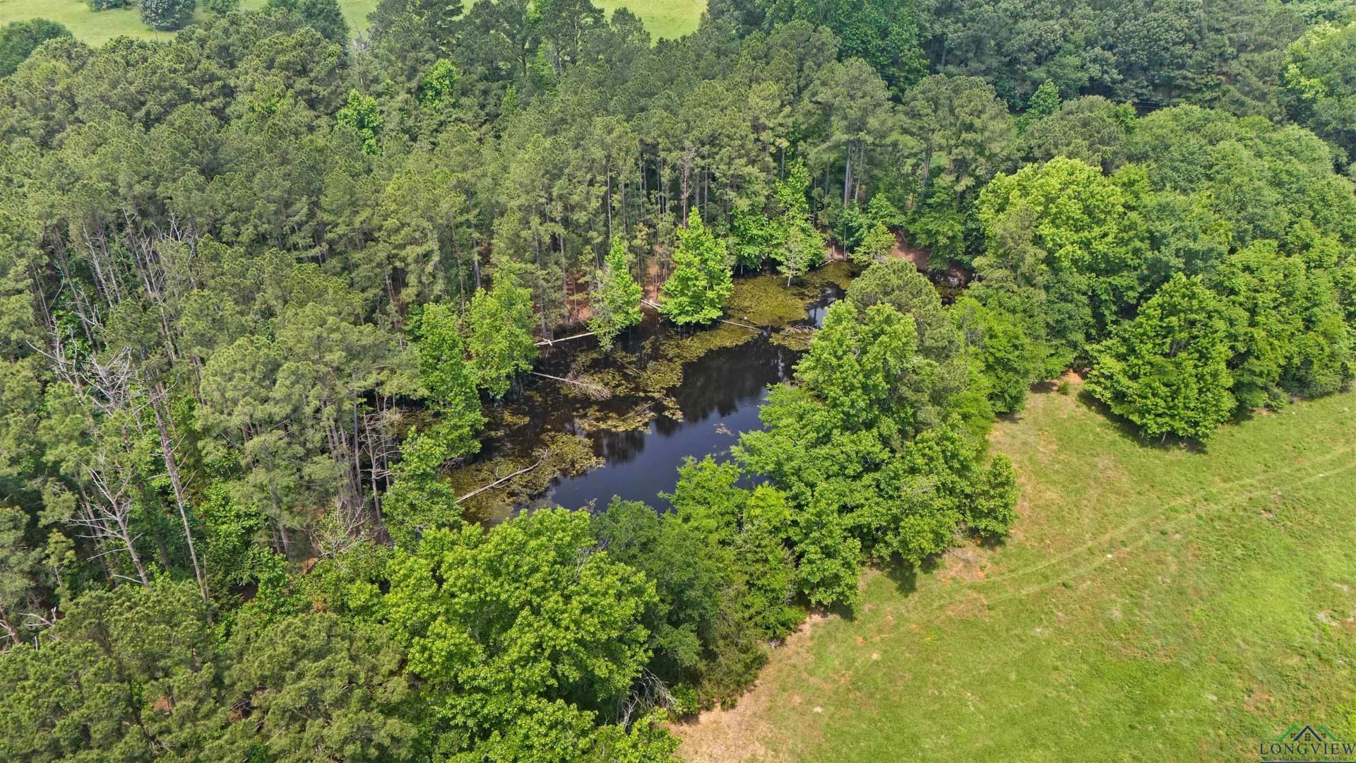 34 acres in Texas County featured view