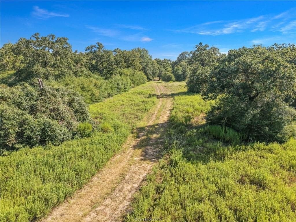47.99 acres in Brazos County - photo 47