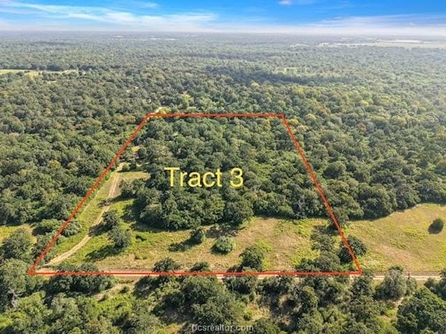 47.99 acres in Brazos County - photo 5