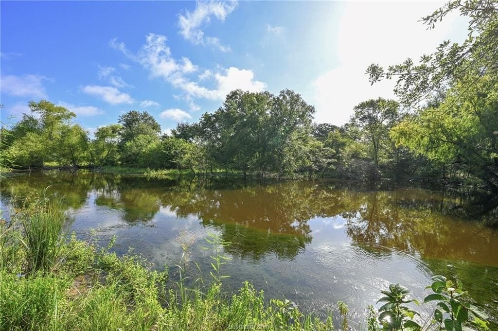 47.99 acres in Brazos County - photo 45
