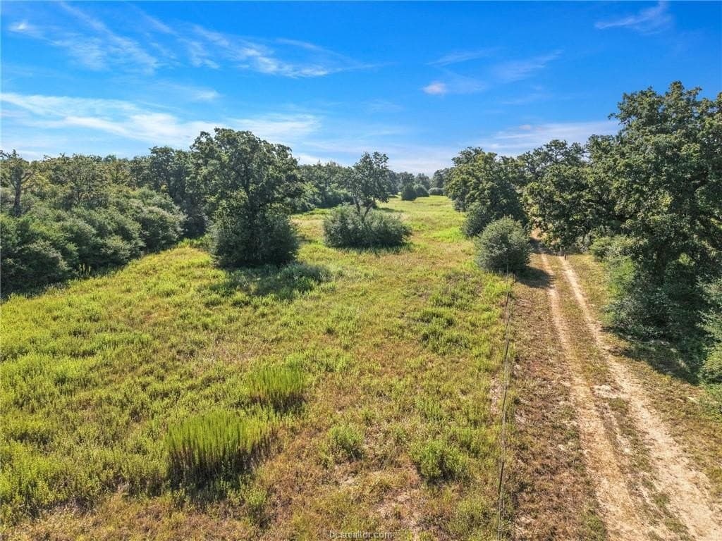 47.99 acres in Brazos County - photo 44