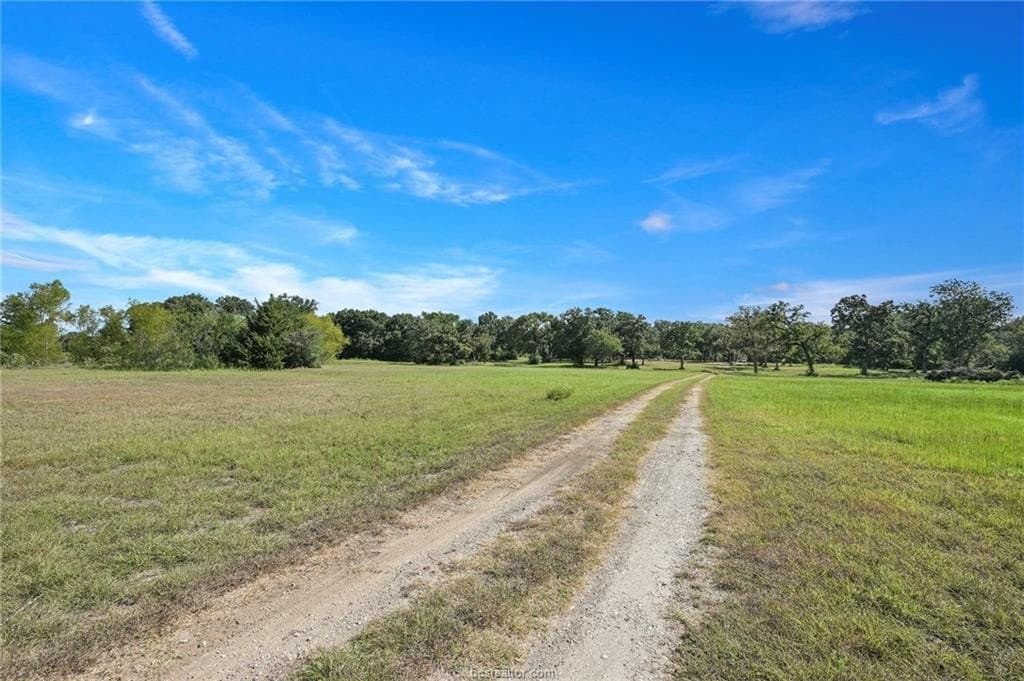 47.99 acres in Brazos County - photo 11