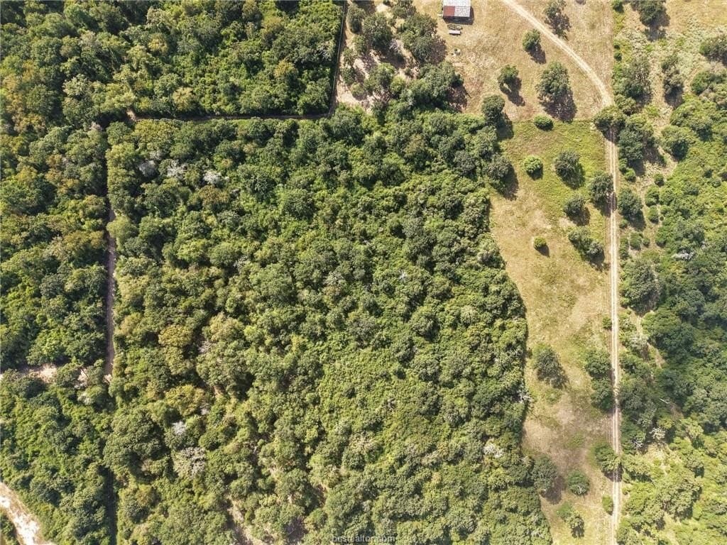 47.99 acres in Brazos County - photo 48