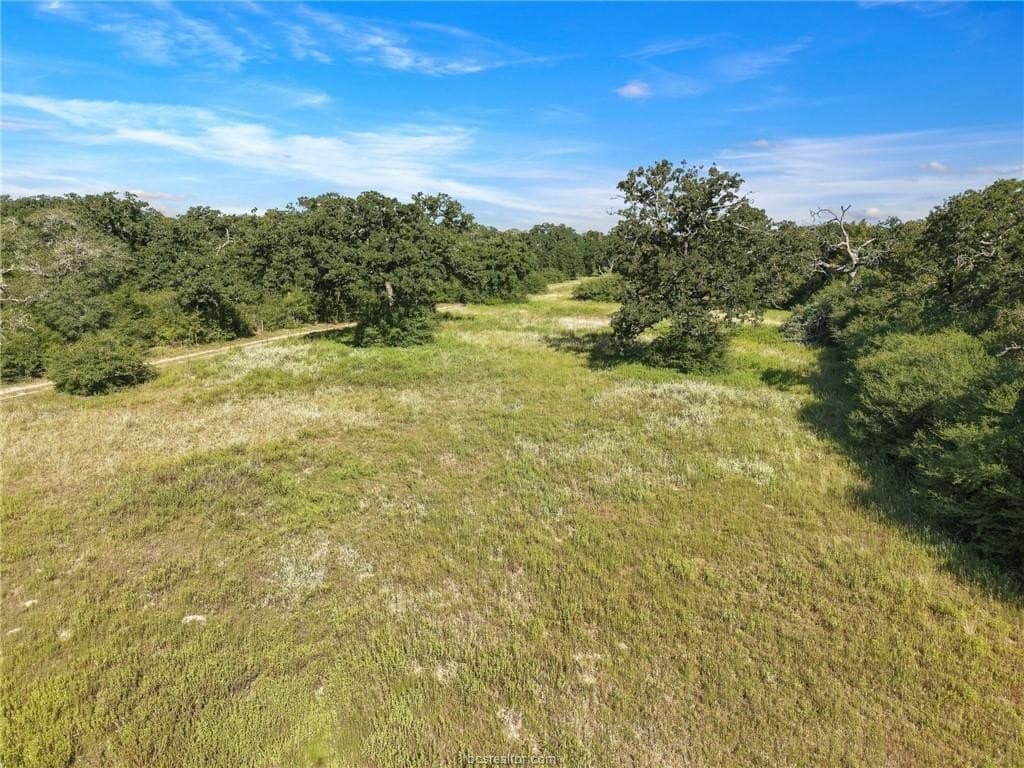 47.99 acres in Brazos County - photo 49