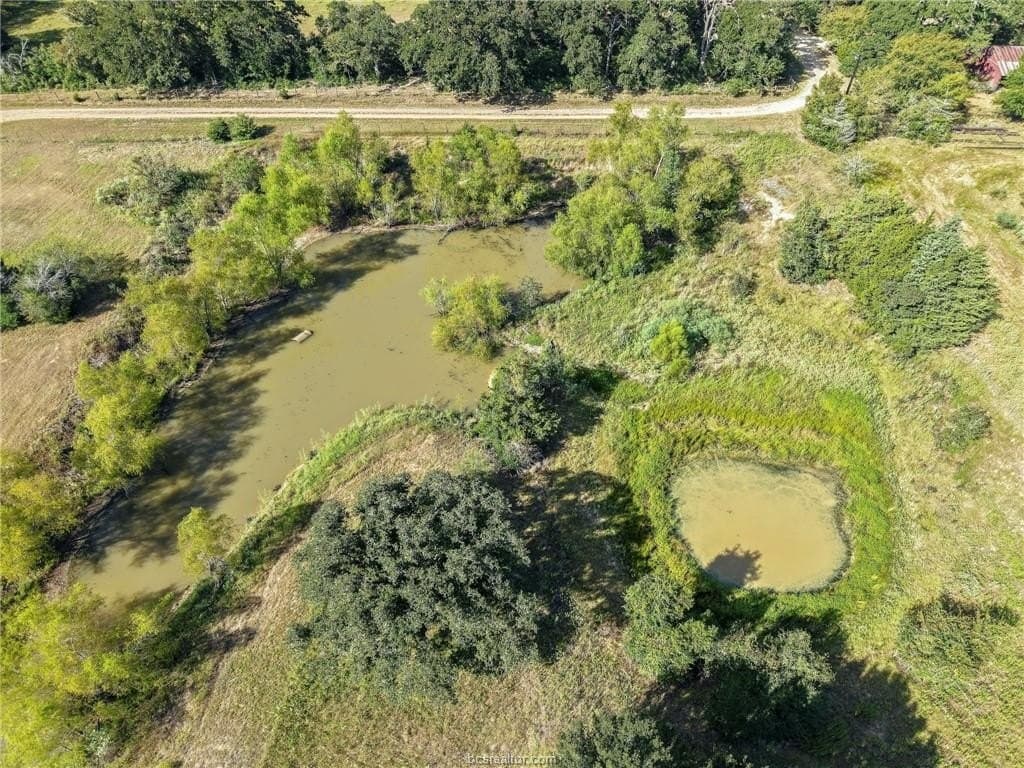 47.99 acres in Brazos County - photo 9