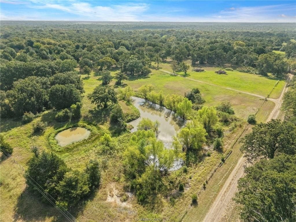47.99 acres in Brazos County - photo 10