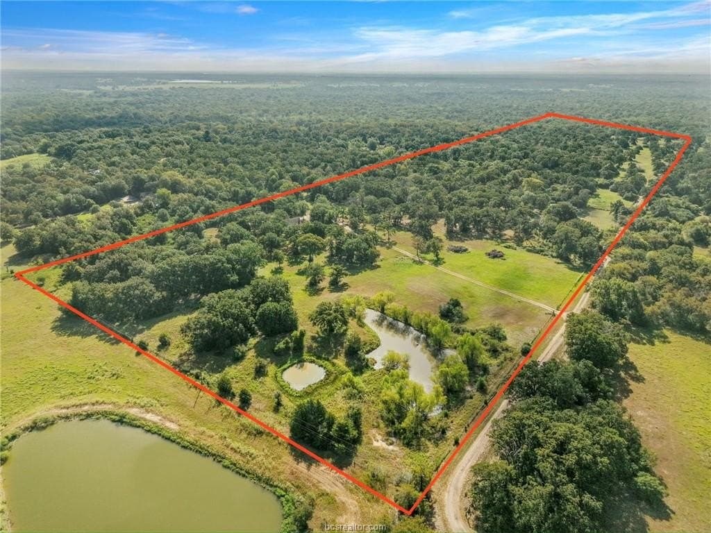 47.99 acres in Brazos County - photo 7