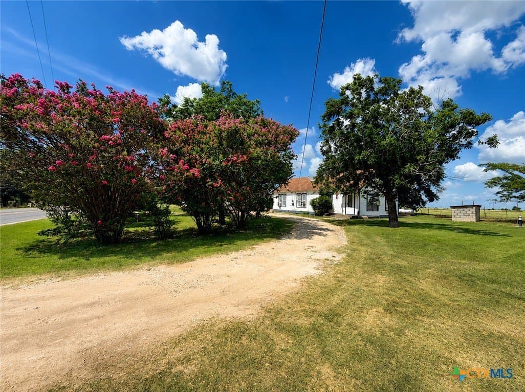 20 acres in Williamson County gallery image 4