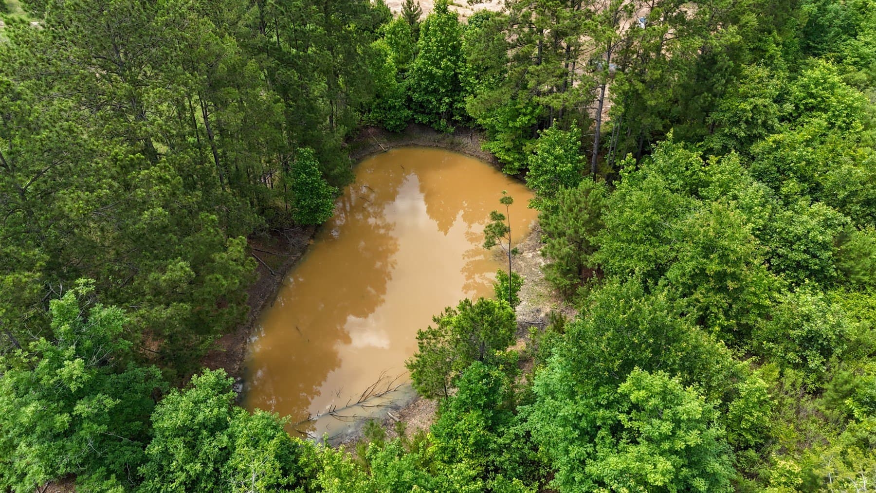129.89 acres in Marion County - photo 29